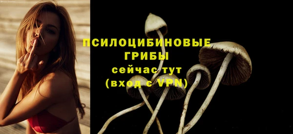 спайс Алексин