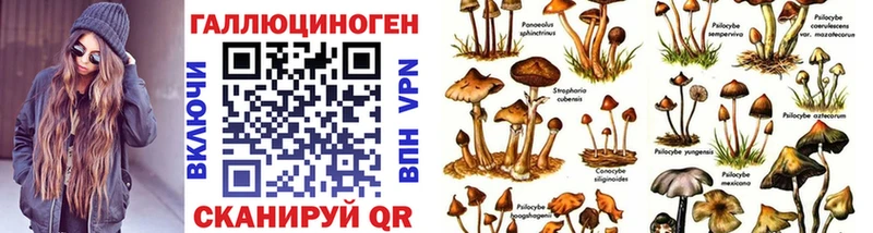 Псилоцибиновые грибы Psilocybe  продажа наркотиков  Удачный 